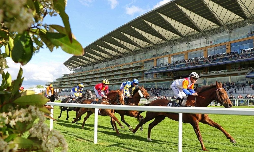 The ultimate guide to hospitality and fine dining at Royal Ascot 2022