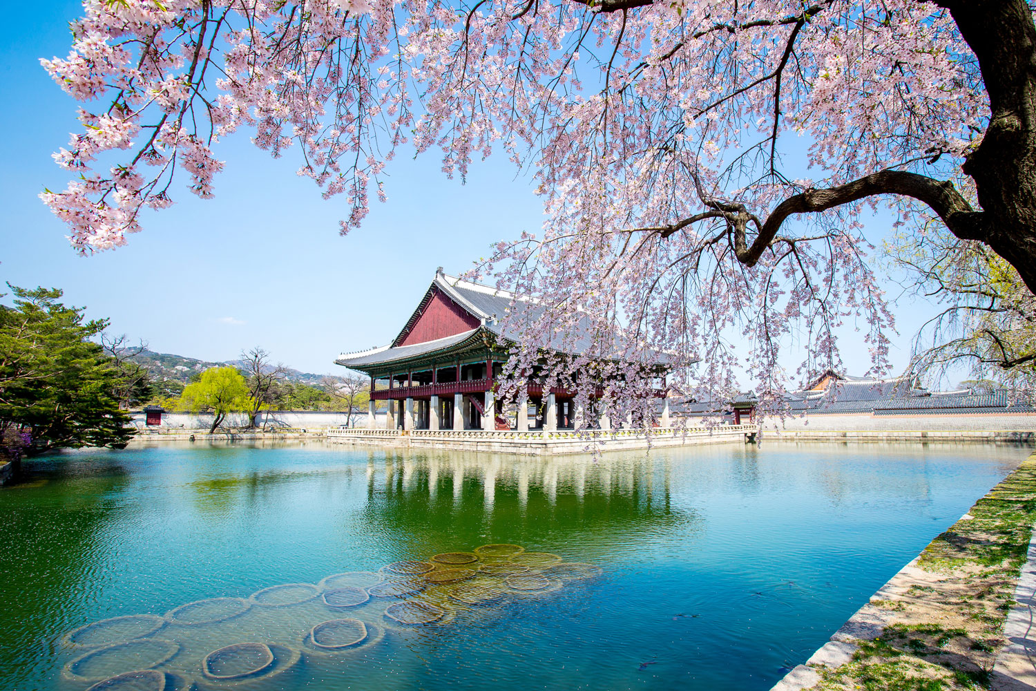 Seoul city travel guide South Korea Judy Joo SquareMeal Lufthansa