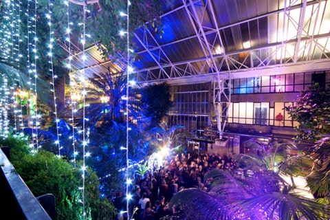 Welcome to the jungle (at Barbican) this Christmas