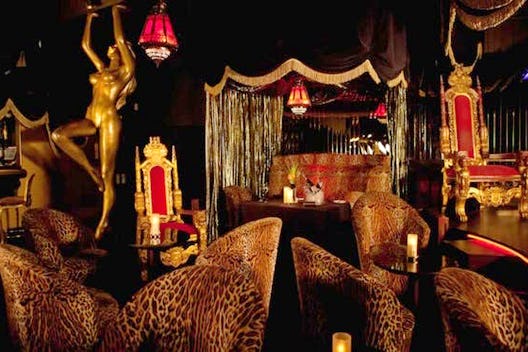 Leopard Room 